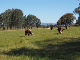 lot2/564 Arnott Rd Benalla VIC 3672 - Image 3