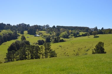 26 SHEERS ROAD Mirboo North VIC 3871 - Image 3