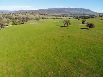 "San Quentin" Lacmalac Road Tumut NSW 2720 - Image 1