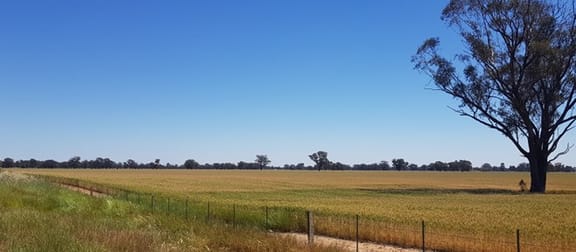 Click to view all images 2019 Katandra Main Road Yabba North VIC 3646 - Image 2