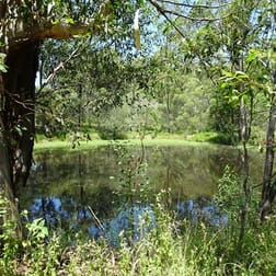265 GENTLE ANNIE ROAD Apple Tree Creek QLD 4660 - Image 3