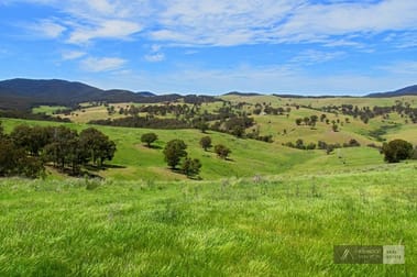 1119 Buchan-Ensay Rd Reedy Flat VIC 3895 - Image 2