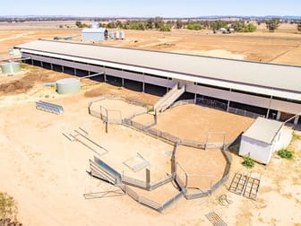 1078 Mid Western Highway Cowra NSW 2794 - Image 2