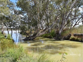 Click to view all images Punyelroo SA 5353 - Image 1