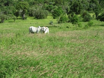 425 ACRES CATTLE GRAZING Bell QLD 4408 - Image 1