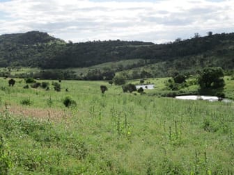 425 ACRES CATTLE GRAZING Bell QLD 4408 - Image 3