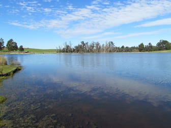 164 Worsley Back Road Allanson WA 6225 - Image 1