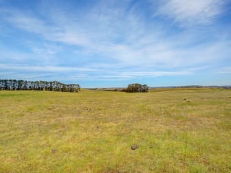 Lot 1/Waterloo Canyonleigh Road Sutton Forest NSW 2577 - Image 3