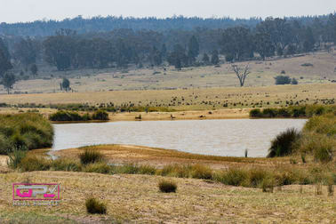 Old Cootamundra Road Temora NSW 2666 - Image 1