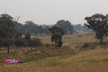 Old Cootamundra Road Temora NSW 2666 - Image 3