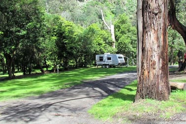 Accommodation & Tourism  business for sale in Tarra Valley - Image 2