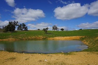 Lot 2132 Bindoon Moora Road Wannamal WA 6505 - Image 1