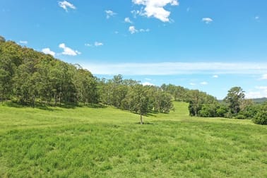 882 Old Lawrence Road Deep Creek NSW 2469 - Image 3