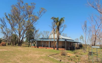 Click to view all images 4997 Castlereagh Hwy Gulargambone NSW 2828 - Image 1