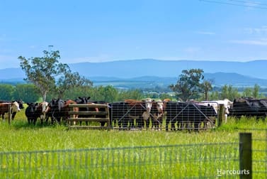 590 Waterloo Road Trafalgar East VIC 3824 - Image 3
