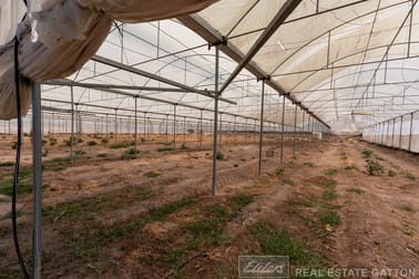 1 Carbine Road Spring Creek QLD 4343 - Image 3