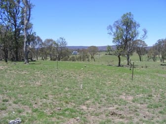 'Glen Farm/106 Weirs Road Dundee NSW 2370 - Image 1