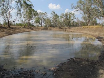 1350 ACRES SHEEP & CROPPING Tara QLD 4421 - Image 2