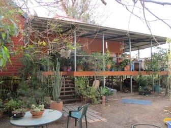 1350 ACRES SHEEP & CROPPING Tara QLD 4421 - Image 3