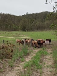 Lot/9 Mary Smokes Creek Road Sandy Creek QLD 4515 - Image 3