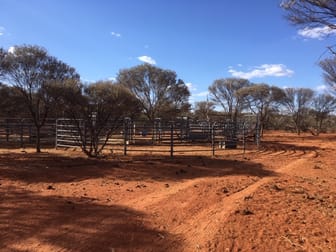 'Barrambie Station' Sandstone WA 6639 - Image 3