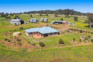 537 St Helens Road Pittsworth QLD 4356 - Image 1