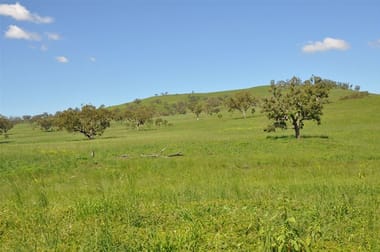 . 'Coulsons', Willow Tree Rd Merriwa NSW 2329 - Image 2