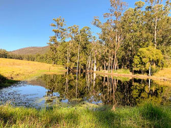 220 Waverley Road Hillville NSW 2430 - Image 2