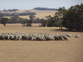 187 Yilliminning Rd Toolibin WA 6312 - Image 1