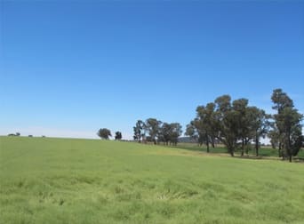 1 Water View Road Gooloogong NSW 2805 - Image 2