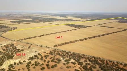 538 Devlins Pound Road Pooginook SA 5330 - Image 1