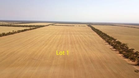 538 Devlins Pound Road Pooginook SA 5330 - Image 3