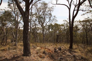 Bald Ridge Road Bald Ridge NSW 2795 - Image 3