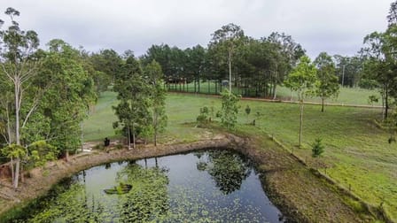 Click to view all images 186 Whiteman Creek Road The Whiteman NSW 2460 - Image 2