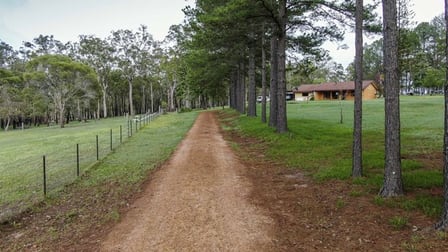 Click to view all images 186 Whiteman Creek Road The Whiteman NSW 2460 - Image 3