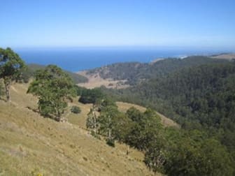 355 Wild Dog Access Track Apollo Bay VIC 3233 - Image 1