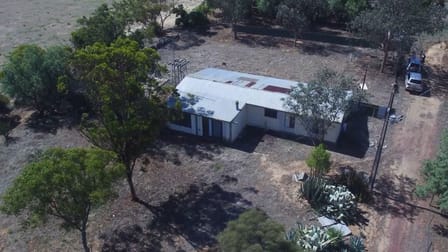 930 Tori Hills Road Sandalwood SA 5309 - Image 3