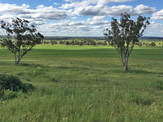 . 'McEvers Park', 330 Bellings Rd, Goolhi via Gunnedah NSW 2380 - Image 3