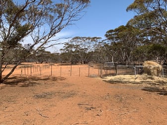 Lot 14 BOWER BOUNDARY ROAD Bower SA 5374 - Image 3