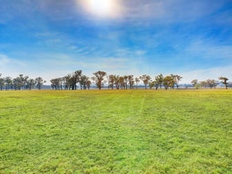 3055 Canyonleigh Road Sutton Forest NSW 2577 - Image 3
