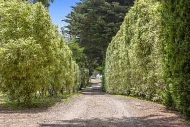 404 Shands Road Main Ridge VIC 3928 - Image 3