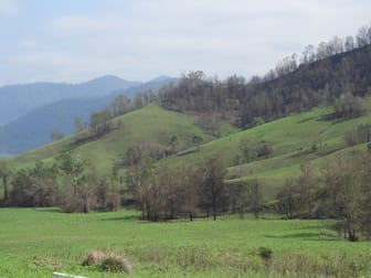 7365 "ANVILL CREEK" Oxley Highway Mount Seaview NSW 2446 - Image 2