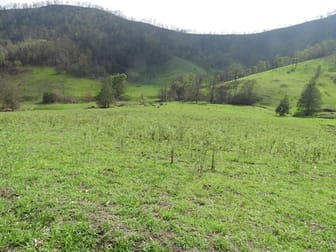 7365 "ANVILL CREEK" Oxley Highway Mount Seaview NSW 2446 - Image 3