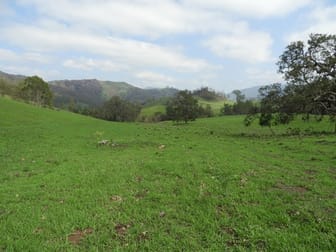 7365 "ANVILL CREEK" Oxley Highway Mount Seaview NSW 2446 - Image 1