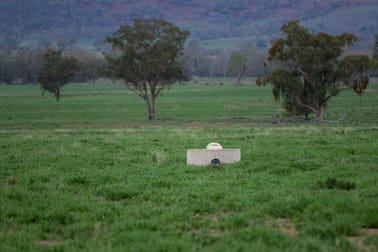 8321 Killarney Gap Road Pallal NSW 2404 - Image 3