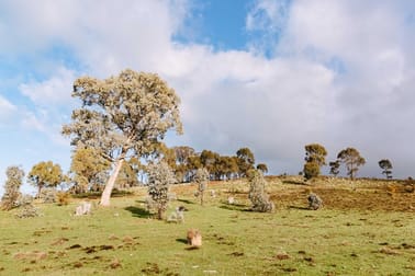 Lot 5, 375 Kellys Road Lyal VIC 3444 - Image 3