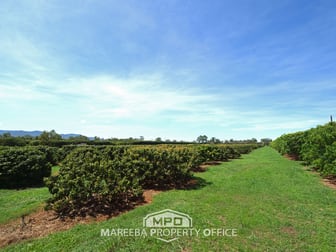 209 Malone Road Mareeba QLD 4880 - Image 1
