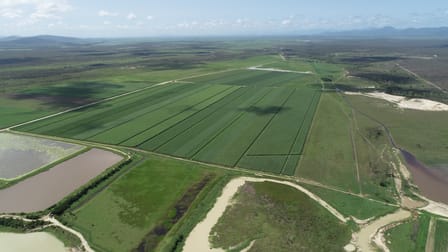 14654 BRUCE HIGHWAY Gregory River QLD 4800 - Image 2