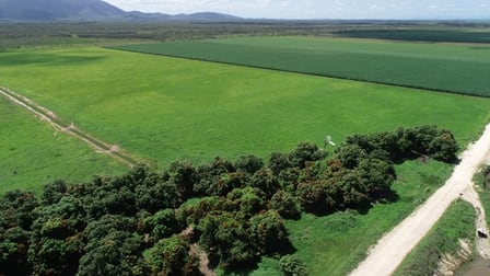 Click to view all images 14654 BRUCE HIGHWAY Gregory River QLD 4800 - Image 3