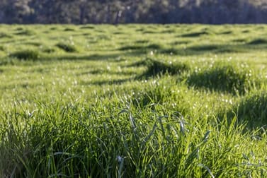 Lot 2/735 Upper Goulburn Road Tallarook VIC 3659 - Image 3